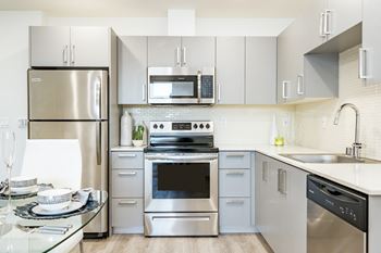 Built-in stainless-steel refrigerator, stove, microwave and dishwasher